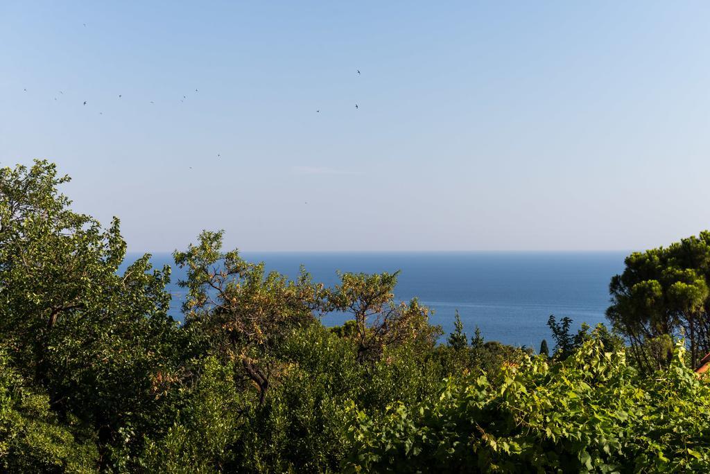 Apartment Palma Dubrovnik Luaran gambar